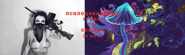 гидропоника Армянск