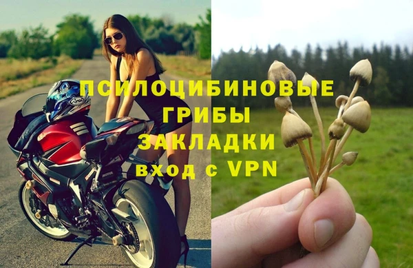 гидропоника Армянск
