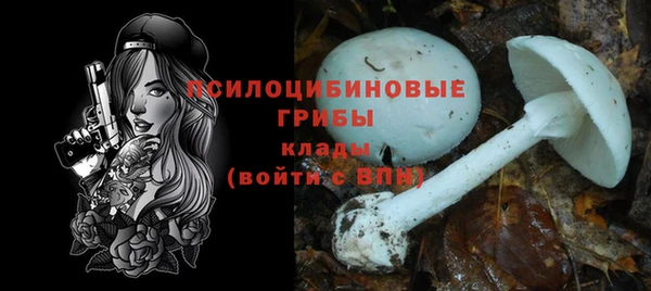 синтетический гашиш Арсеньев