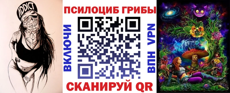 купить   Волгоград  Галлюциногенные грибы Cubensis 