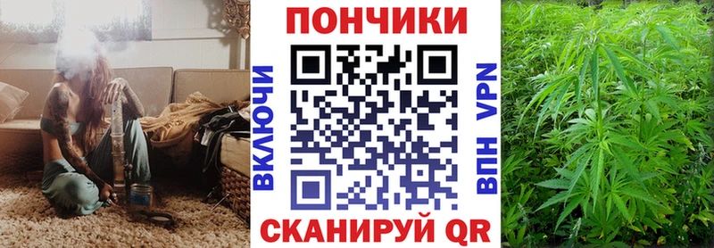 продажа наркотиков  Волгоград  Шишки марихуана индика 